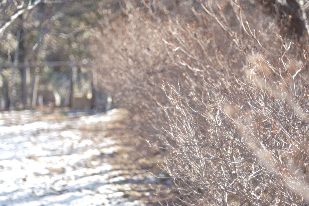 週末SALE★FXアダプター付美品★X-Fujinon55mm f2.2★作例有