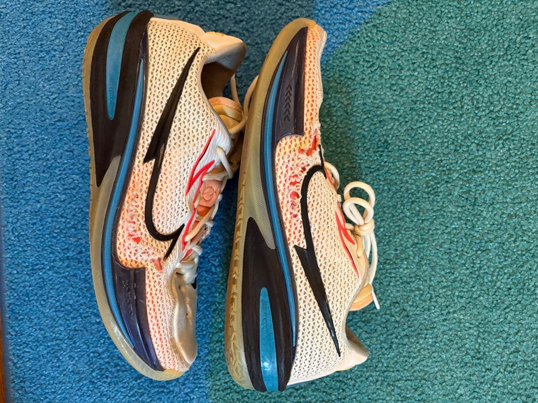 NIKE Air zoom gt cut 白