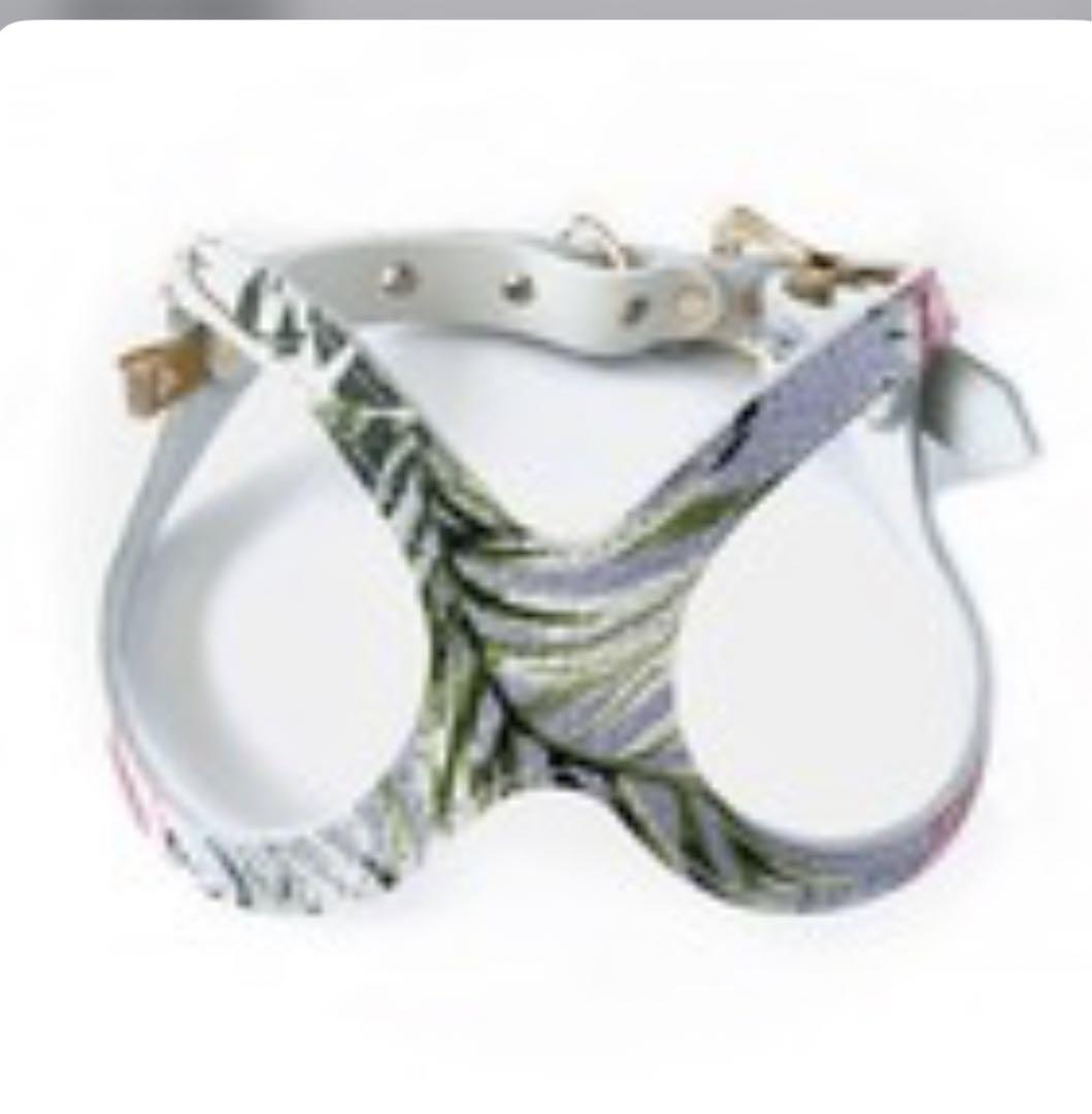 BUDDY BELT.「バディーバハマ」　2,5号