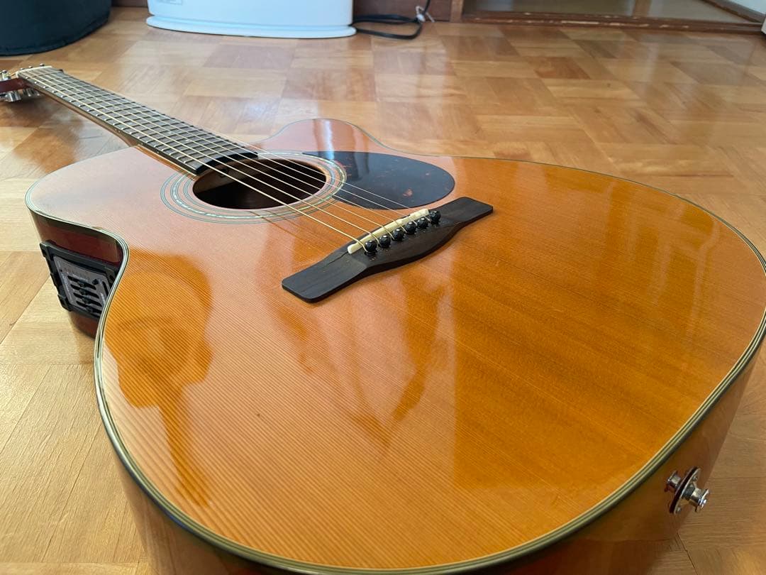 【専用ケース付き】Greg Bennett OM-13CE