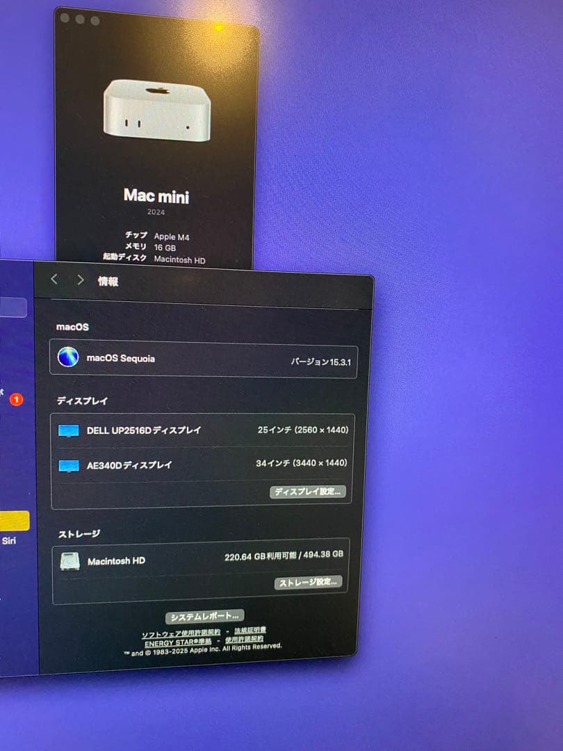 Macデスクトップ Mac mini M4 (16GB,512GB) 2024