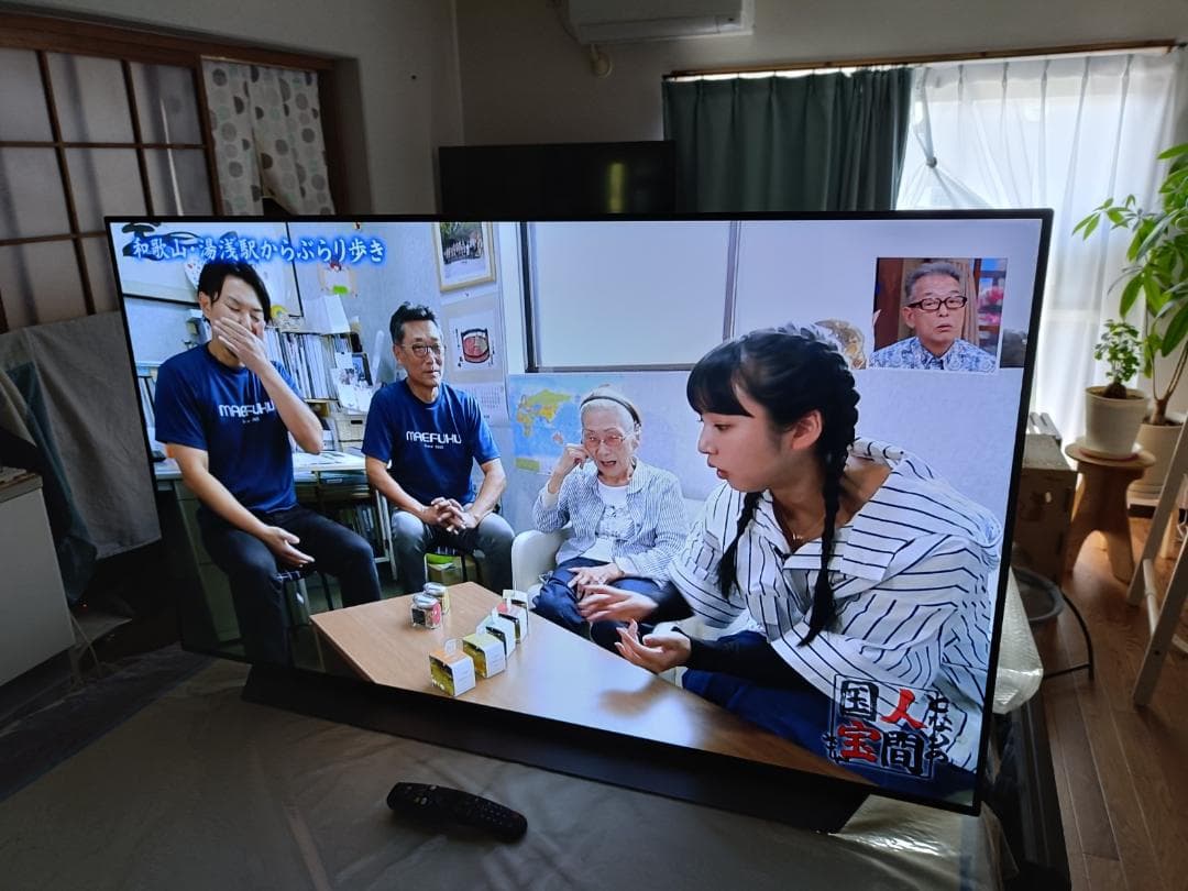 Du Hong LG OLED55C9PJA 2019年製 4K 有機EL