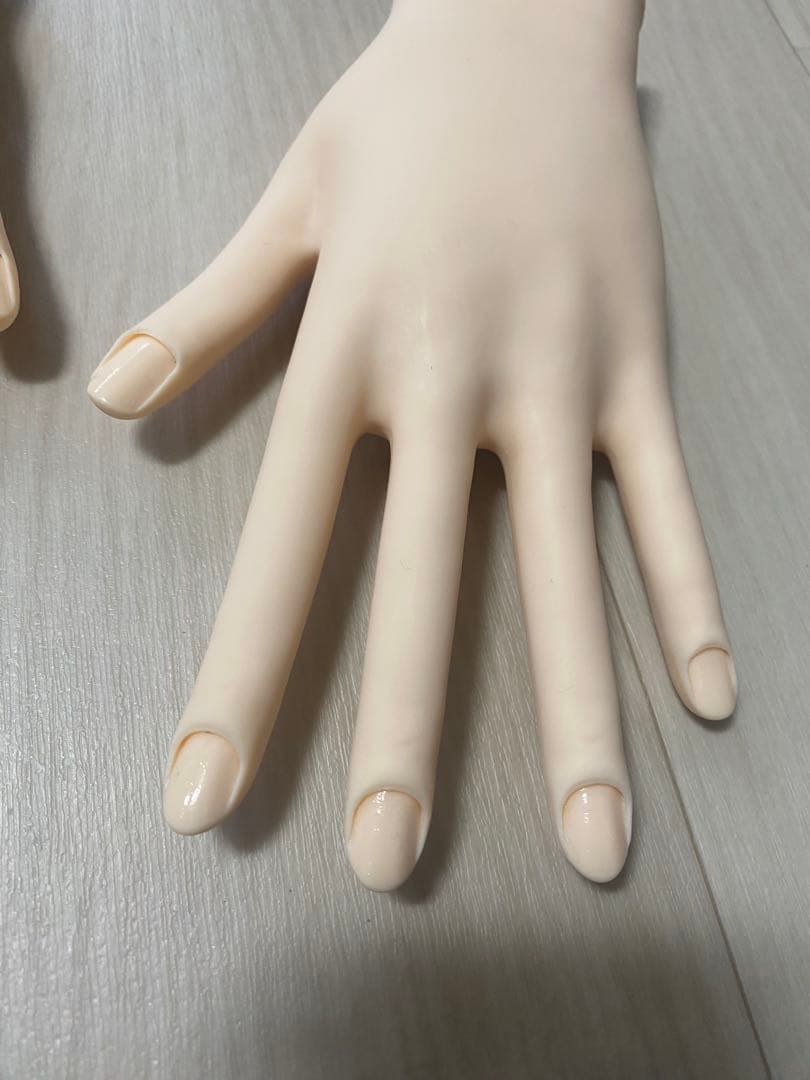 STモデルハンドセット　ネイリスト検定　認定ハンド