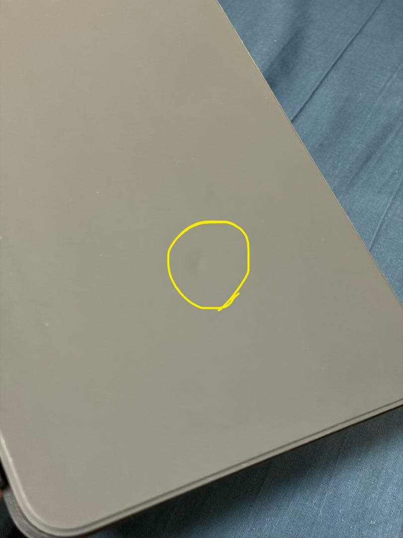 iPad pro(M4)11インチ Wi-Fi+Cellular 256GB