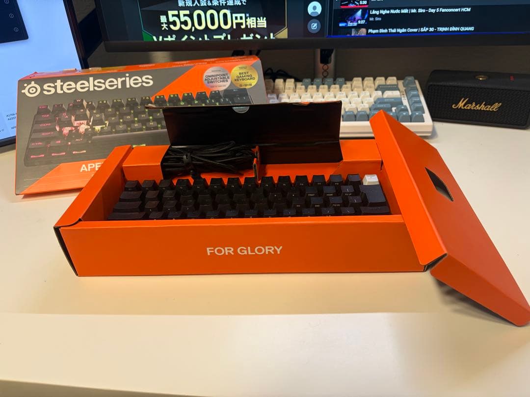 SteelSeries Apex Pro Mini Wirelesレシーバーなし