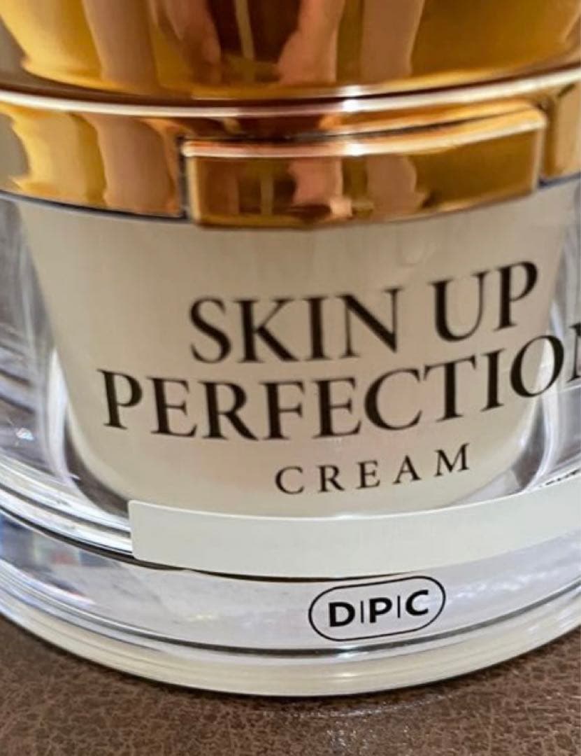 DPC 美顔器 SKIN IRON スキンアイロン