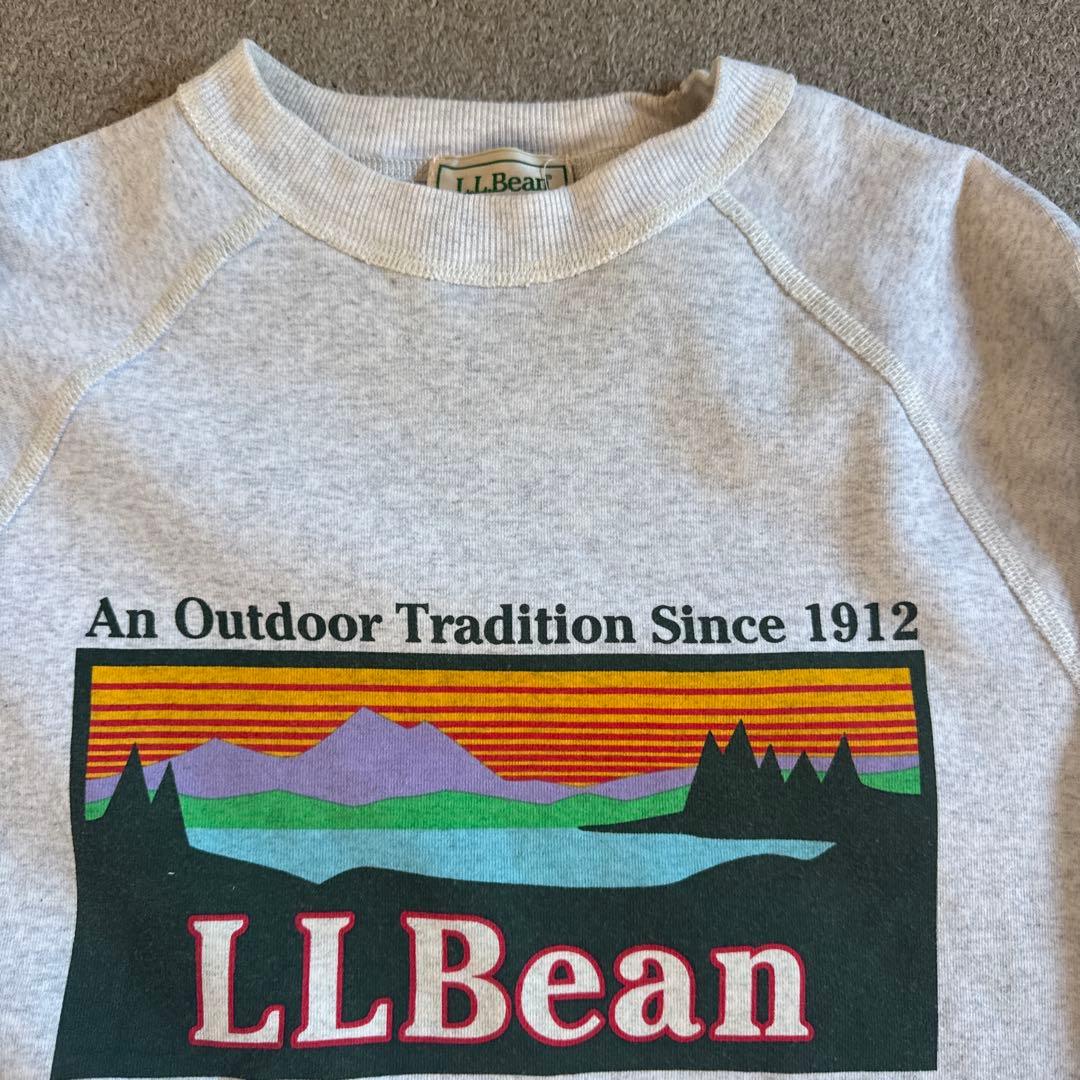 LLBean グラフィックトレーナー Mサイズ