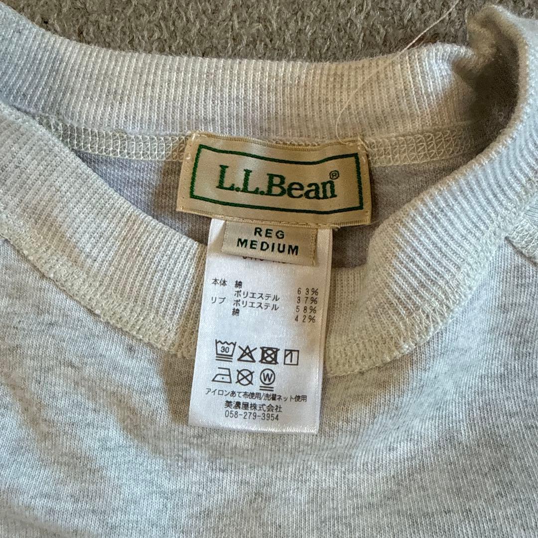 LLBean グラフィックトレーナー Mサイズ