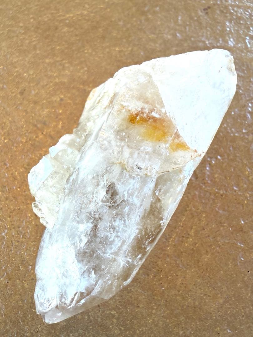 ロシアンレムリアン