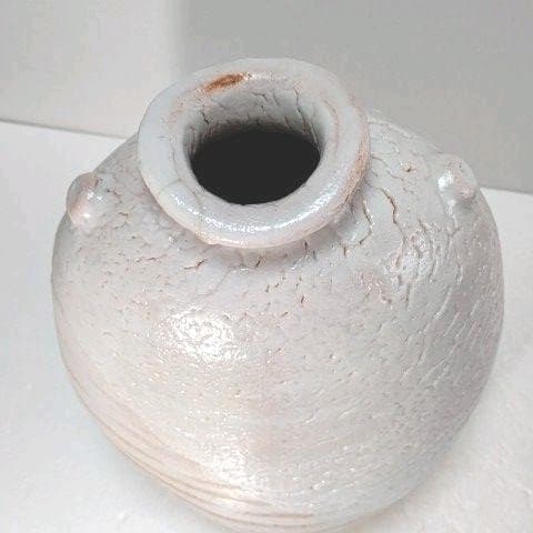 壺 志野 藤原 一門