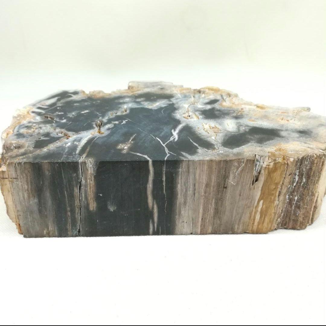 珪化木 木化石 置物