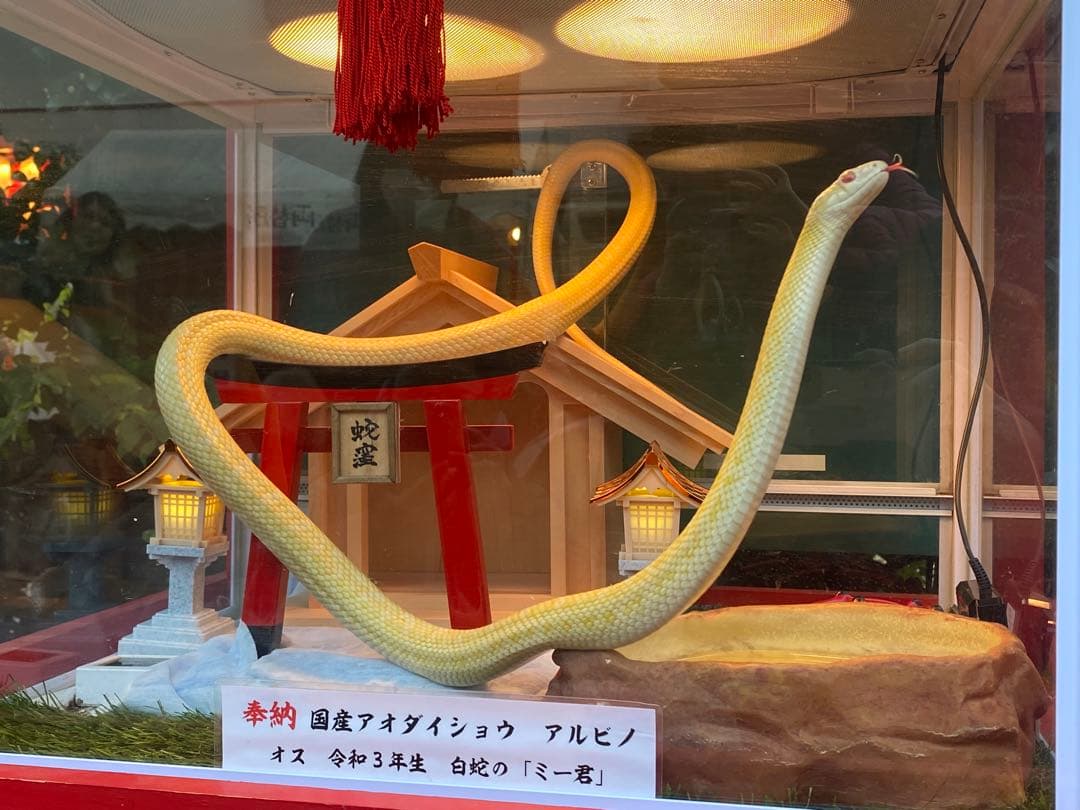 己巳の日 蛇窪神社 夢巳札＆巳くじ＆清め塩(計3品)