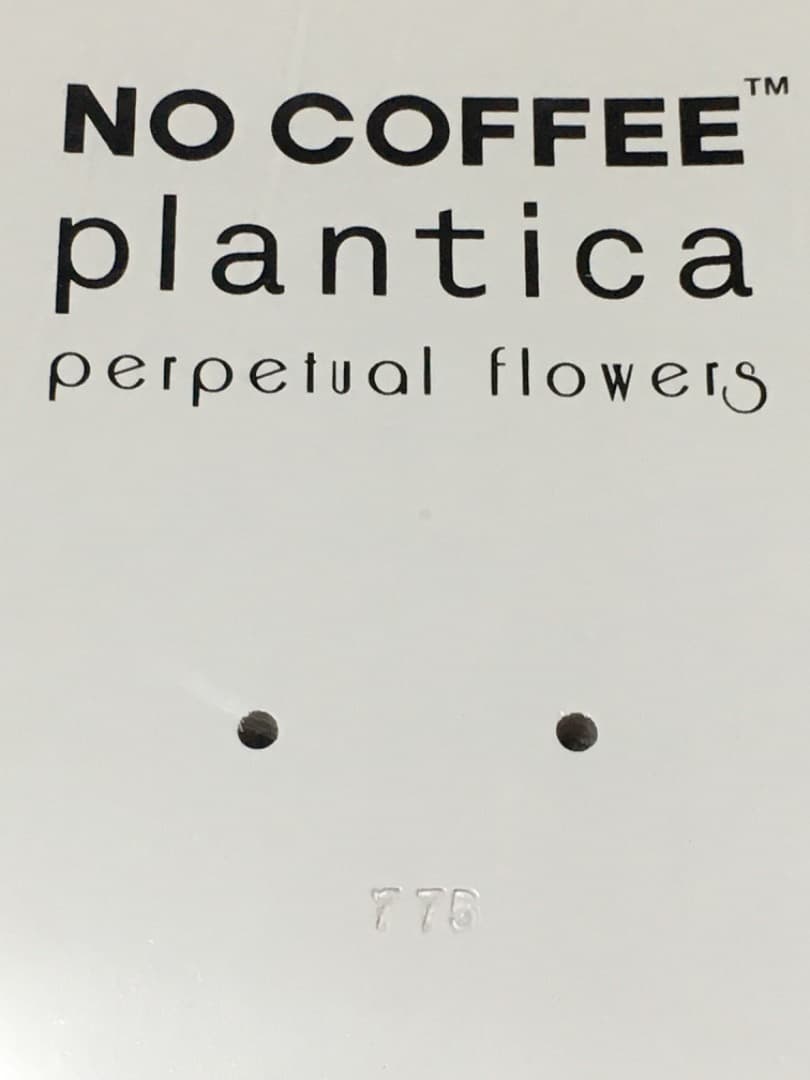 新品、未使用　極美品　SHANTII× NO COFFEE 限定　スケートボード