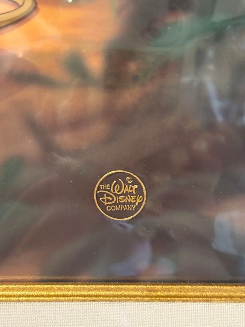 ★古着屋スマイルハウス 本物保証‼️500枚限定 ディズニー ライオンキング