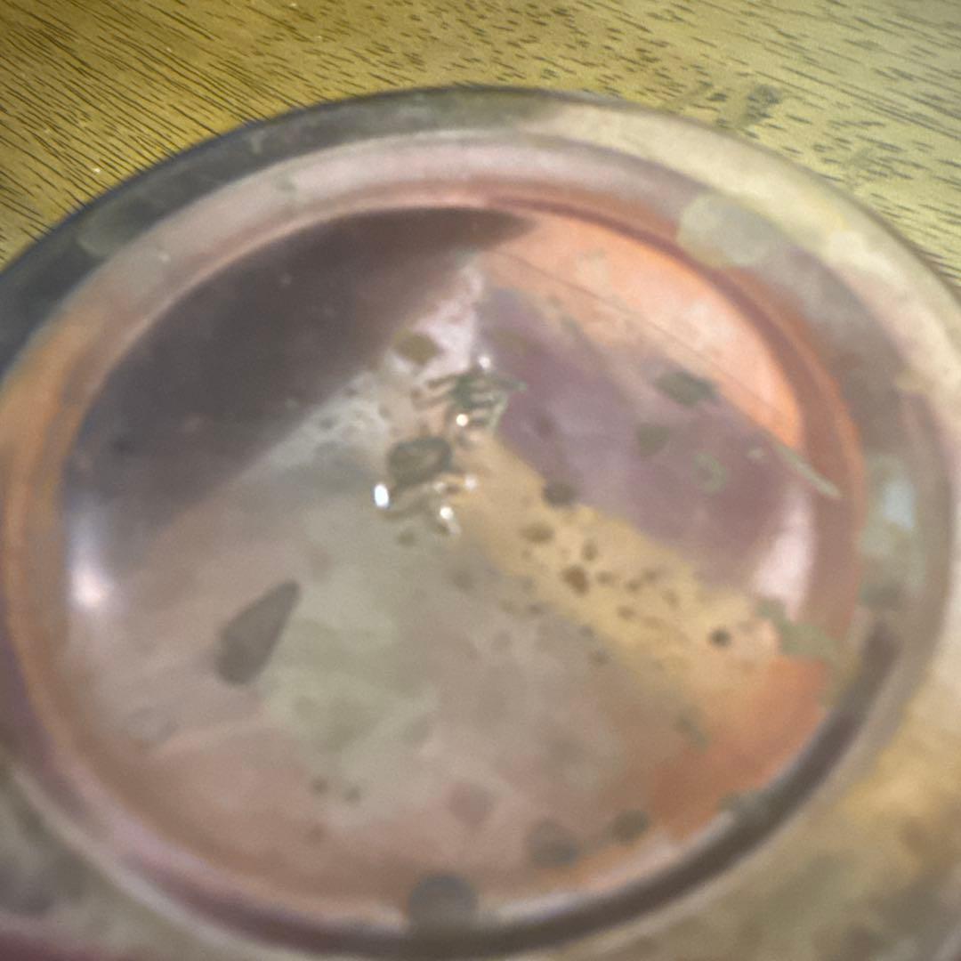 有次　茶こし　京都