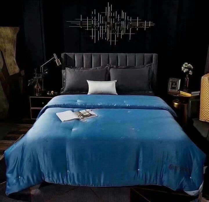 新品　東京西川　掛け布団　キング　シルク100％柔らかいI