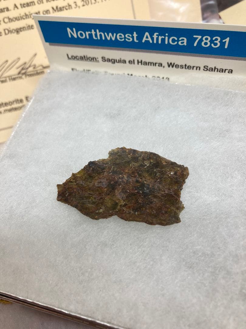 NWA7831ダイオジェナイト5.1g