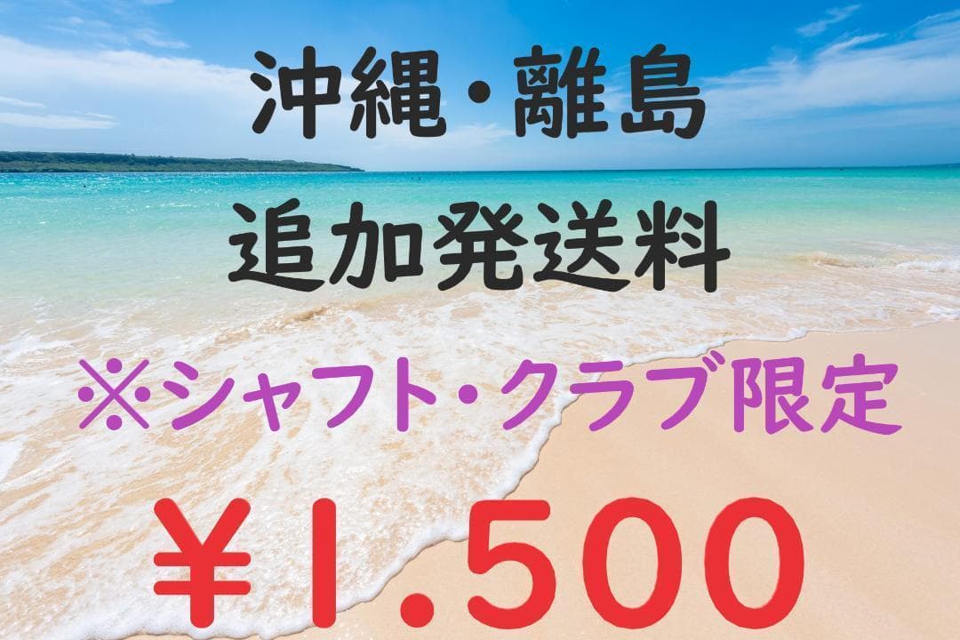 新品 スパイダー ZT カウンターバランス 38インチ 日本仕様 ゼロトルク