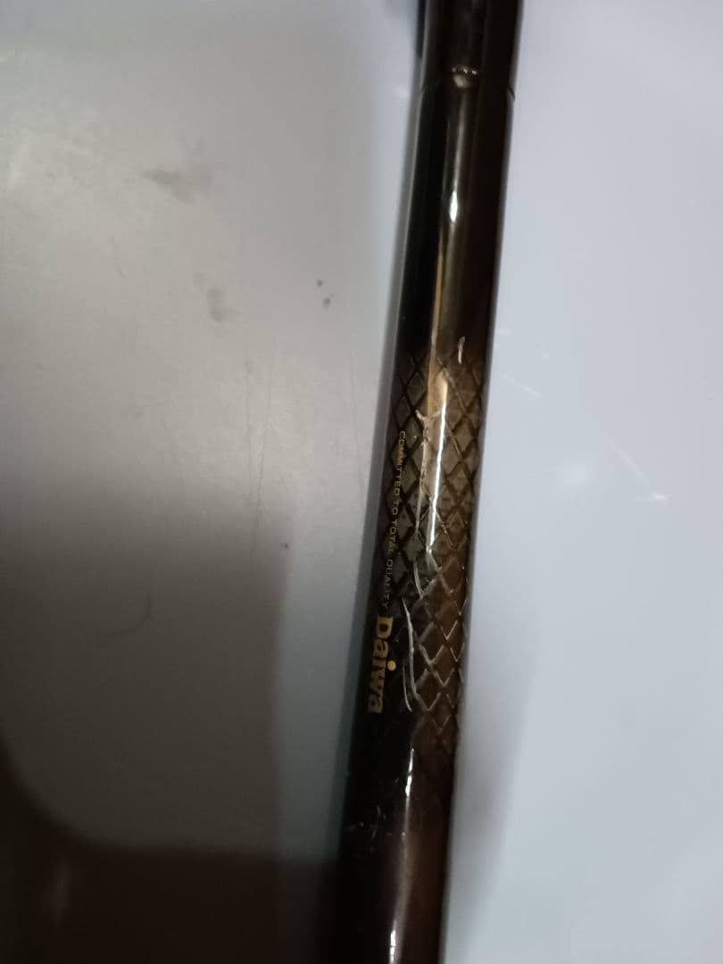 ダイワ Daiwa HZ 波濤 T 1 53 釣り竿 釣竿　ロッド