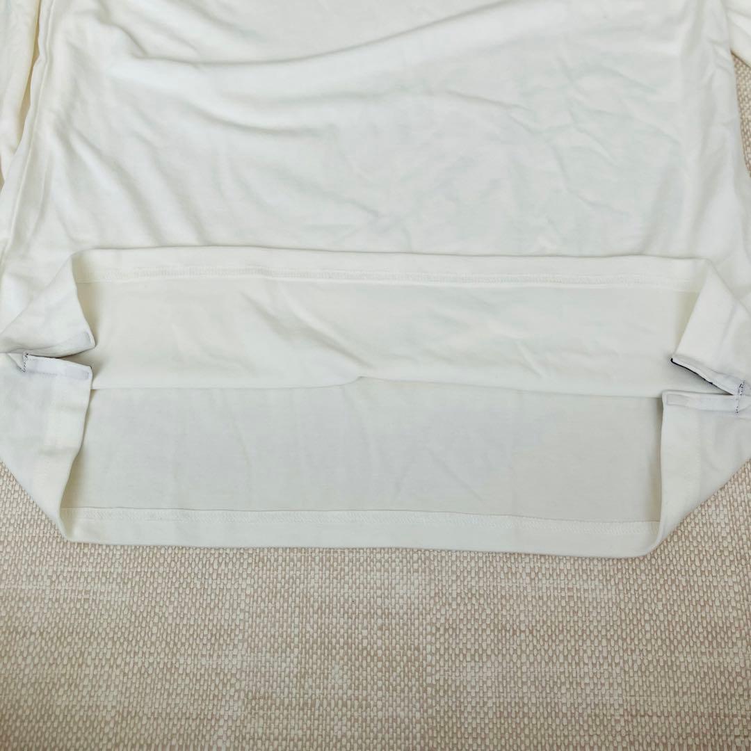 【美品】BRIEFING SUEDE LS MOCK NECK ゴルフ M