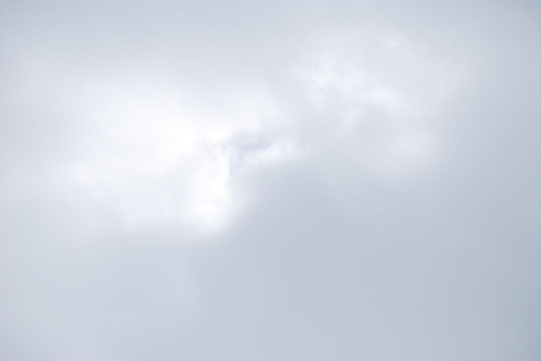 Nikon D60 　ダブルズーム（ボディはバッタ相応価格+レンズ2本の価格）