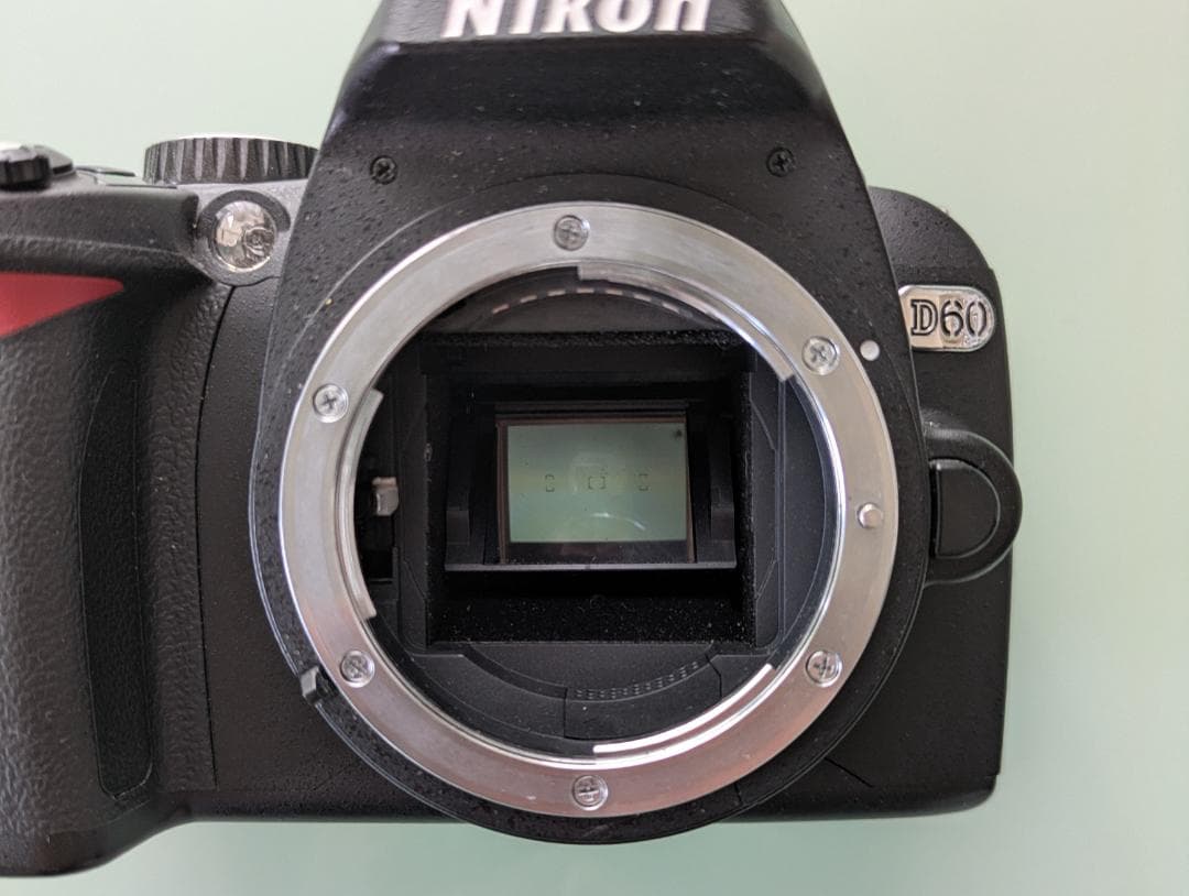 Nikon D60 　ダブルズーム（ボディはバッタ相応価格+レンズ2本の価格）