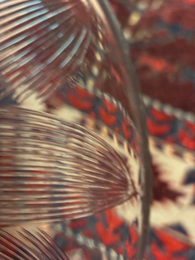 ルネ・ラリック　ロータス LOTUS 皿 , Rene-Lalique 1923