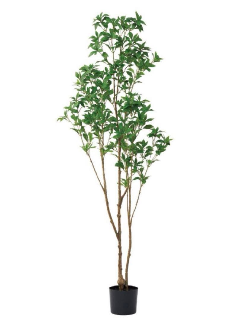 光触媒　人工観葉植物　ウォールグリーン　フェイクグリーン　アセビ175@