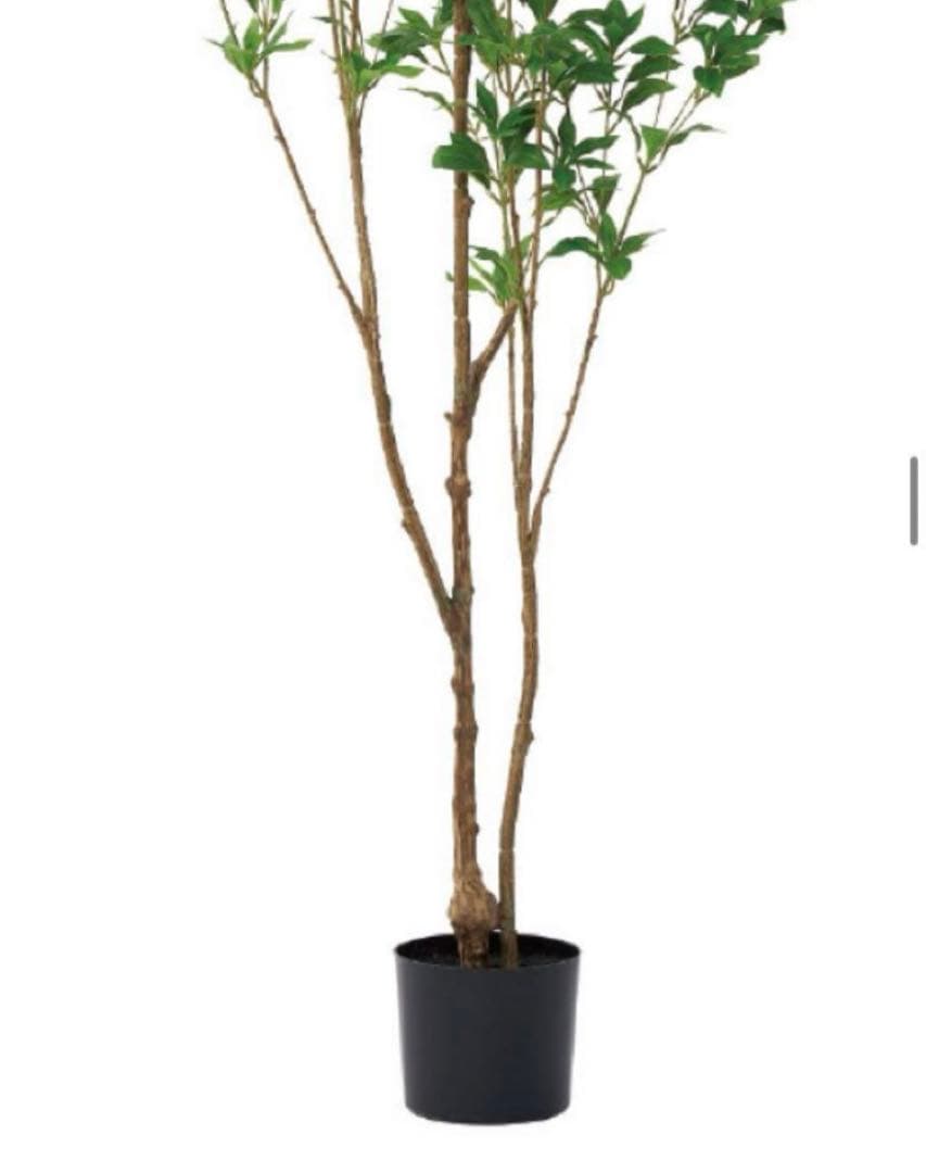 光触媒　人工観葉植物　ウォールグリーン　フェイクグリーン　アセビ175@