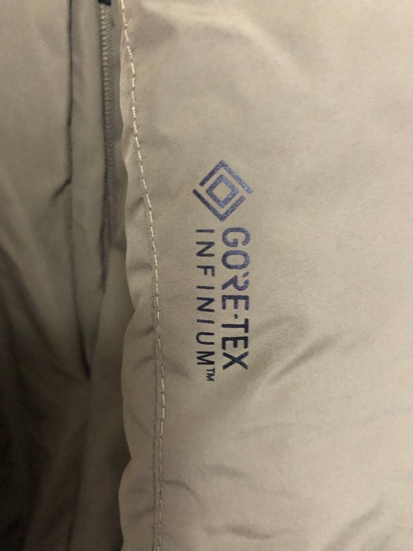 希少アークテリクスリーフ　cold wx hoody lt gen2 メンズM