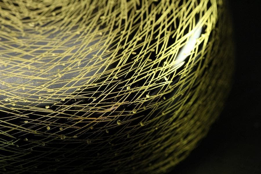 茶道具 沈金 松葉紋 棗 半洲作 共箱 美品(K-LC702)