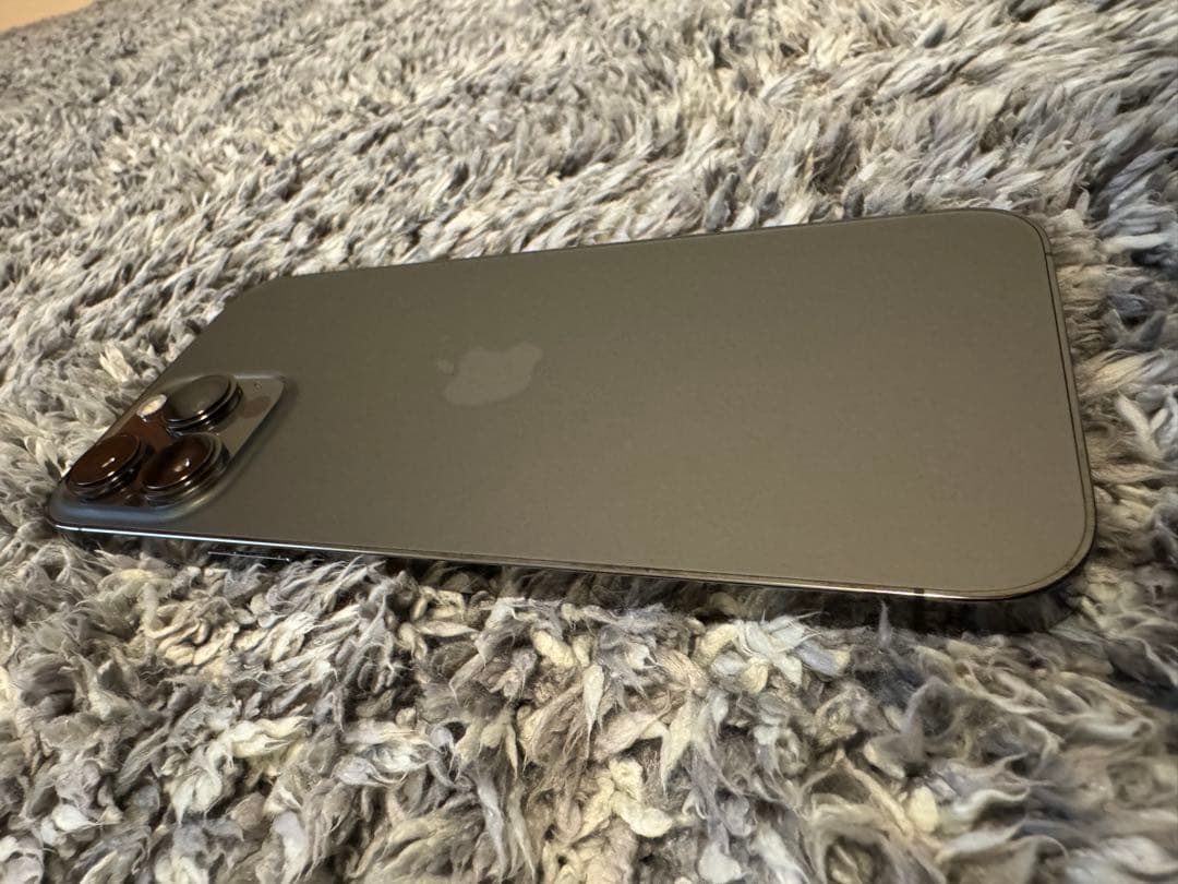 おおゆき iPhone 13 Pro Max 256GB グラファイト