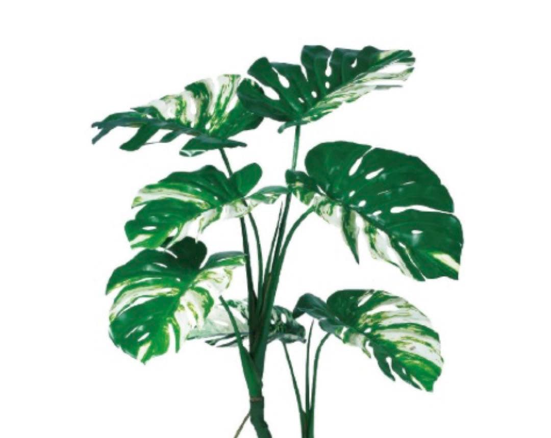 光触媒　人工観葉植物　ウォールグリーン　フェイクグリーン　モンステラポット117
