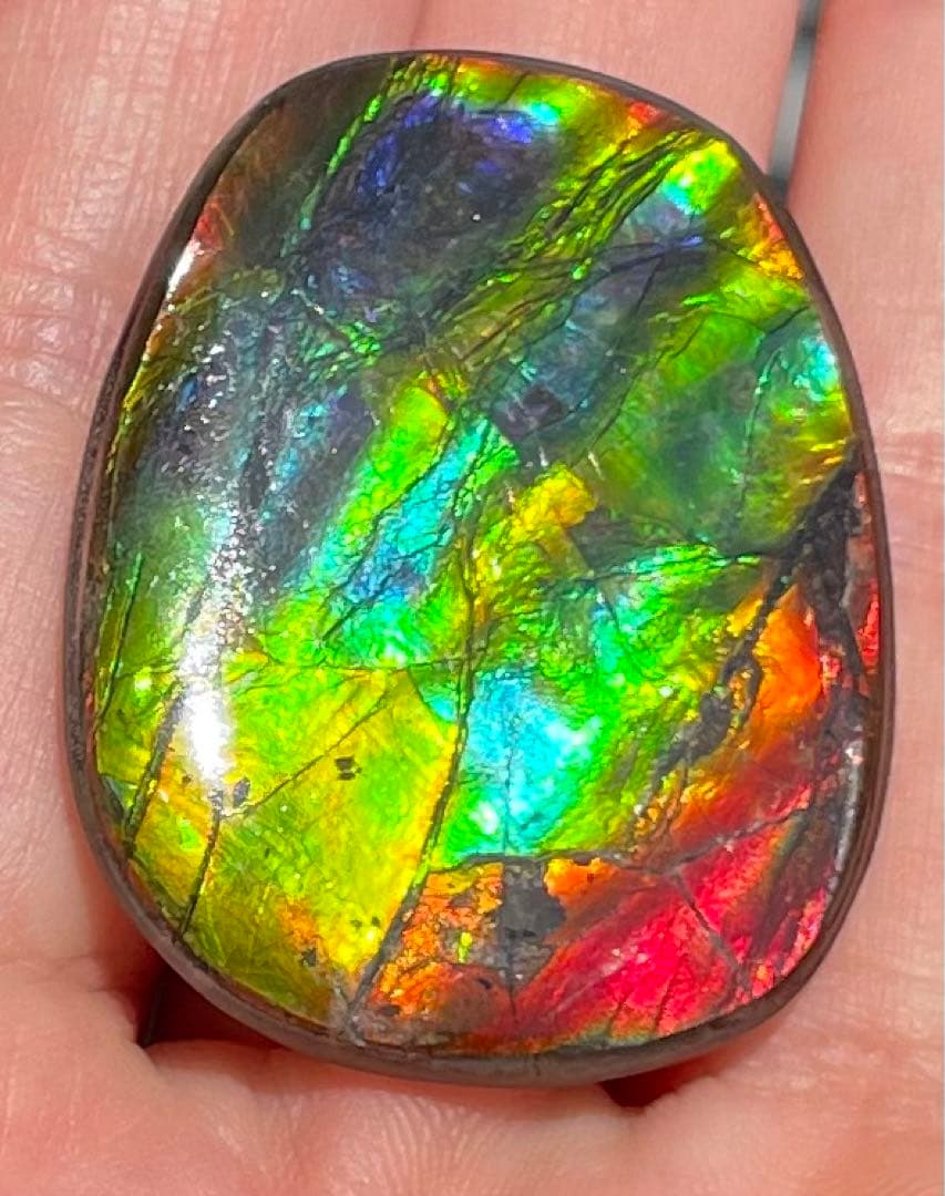 【期間限定セール】アンモライト レインボーカラー ルースストーン