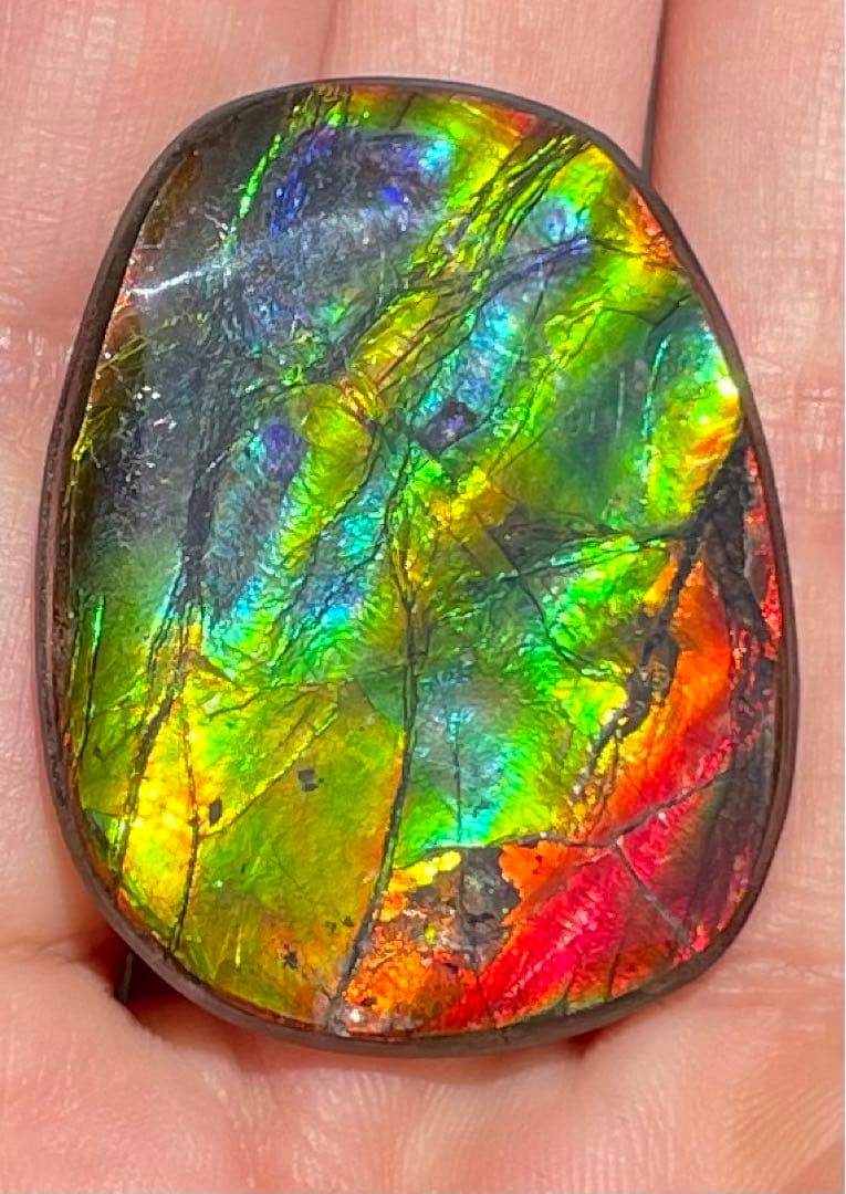 【期間限定セール】アンモライト レインボーカラー ルースストーン