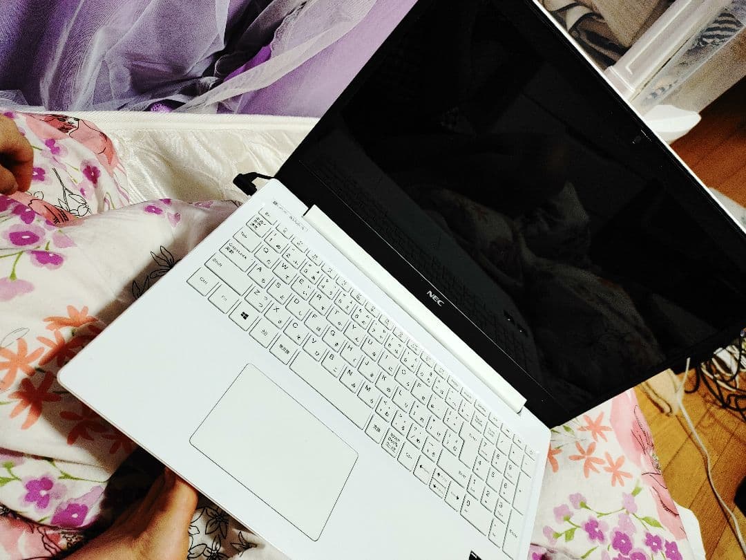 PC用ゲームコントローラー・コンバーター NEC