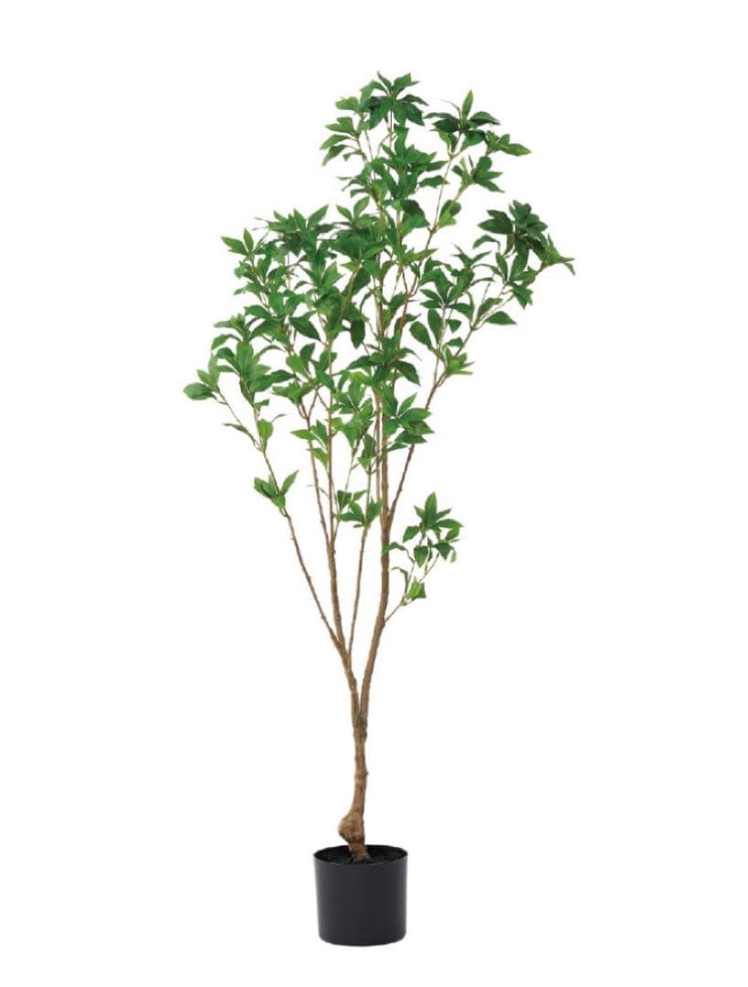 光触媒　人工観葉植物　ウォールグリーン　フェイクグリーン　アセビ150@m