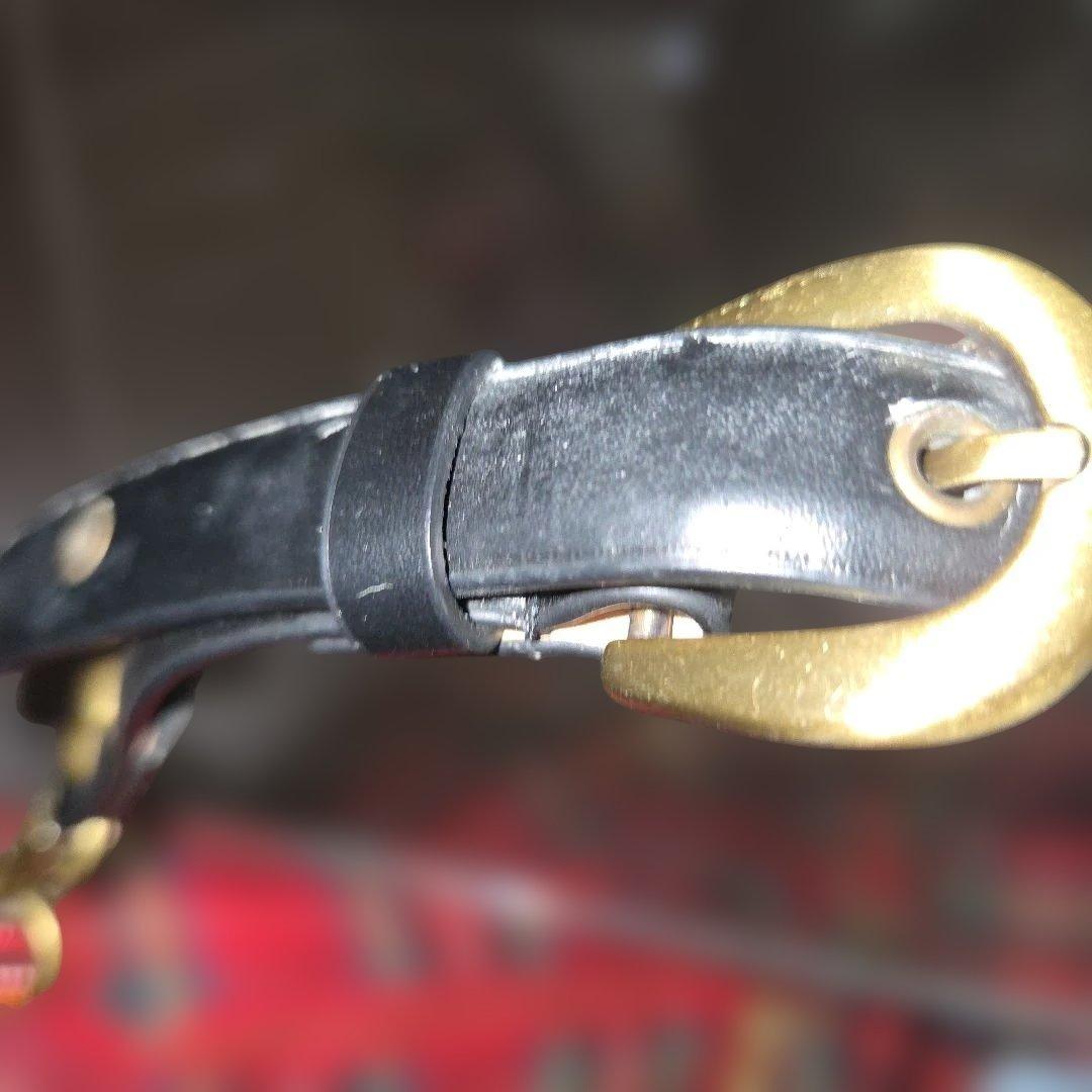 き*り様 ファジーネーション　ダックスフント　　バック