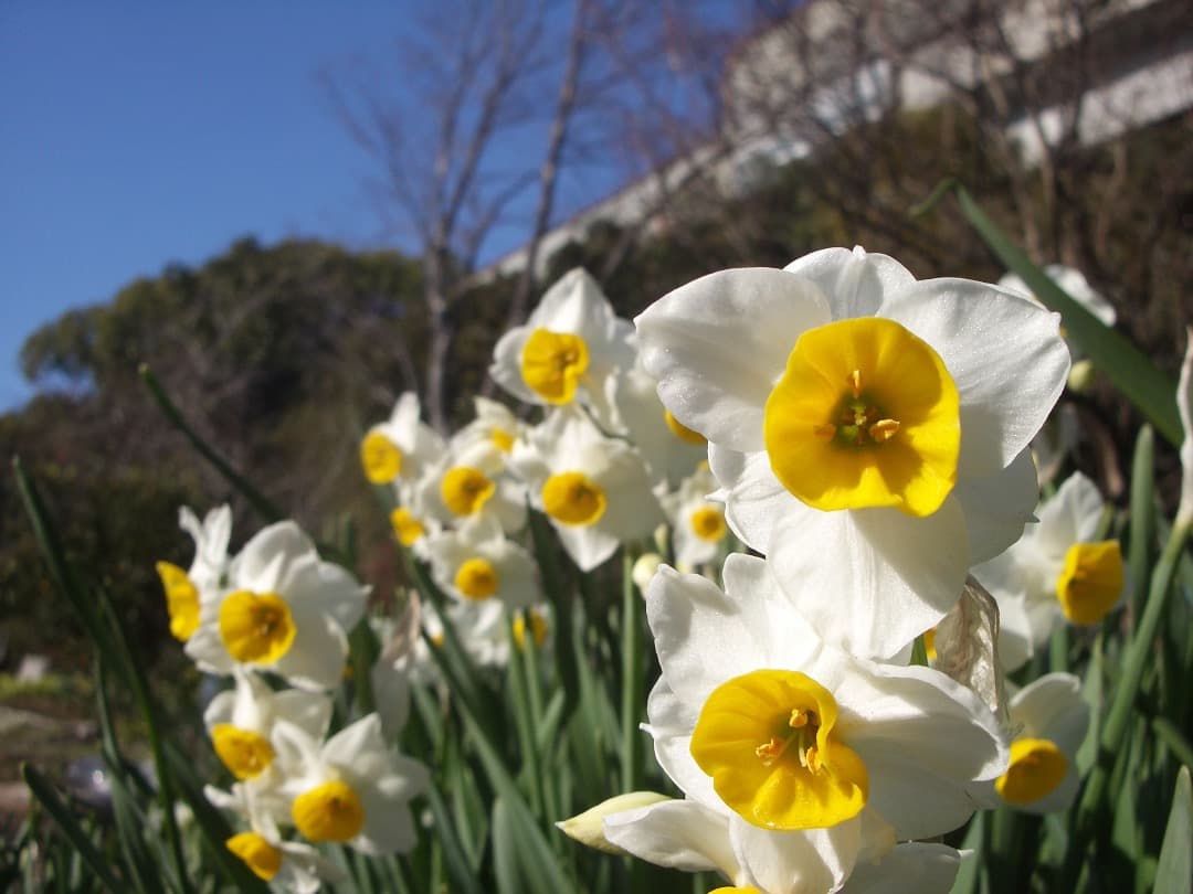 レトロ感⭕️【動作確認済】CCD PENTAX OPTIO S5iデジカメ S4i