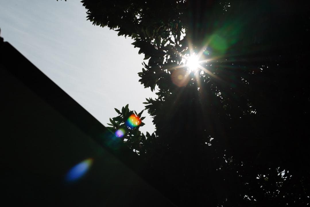 Olympus G.Zuiko auto 50mm F1.2 オリンパス 474