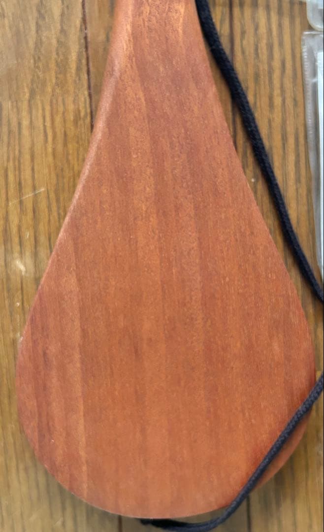 HOSCO みんなの民族楽器 ミンミン MinMin 3弦ギター　おまけ付き