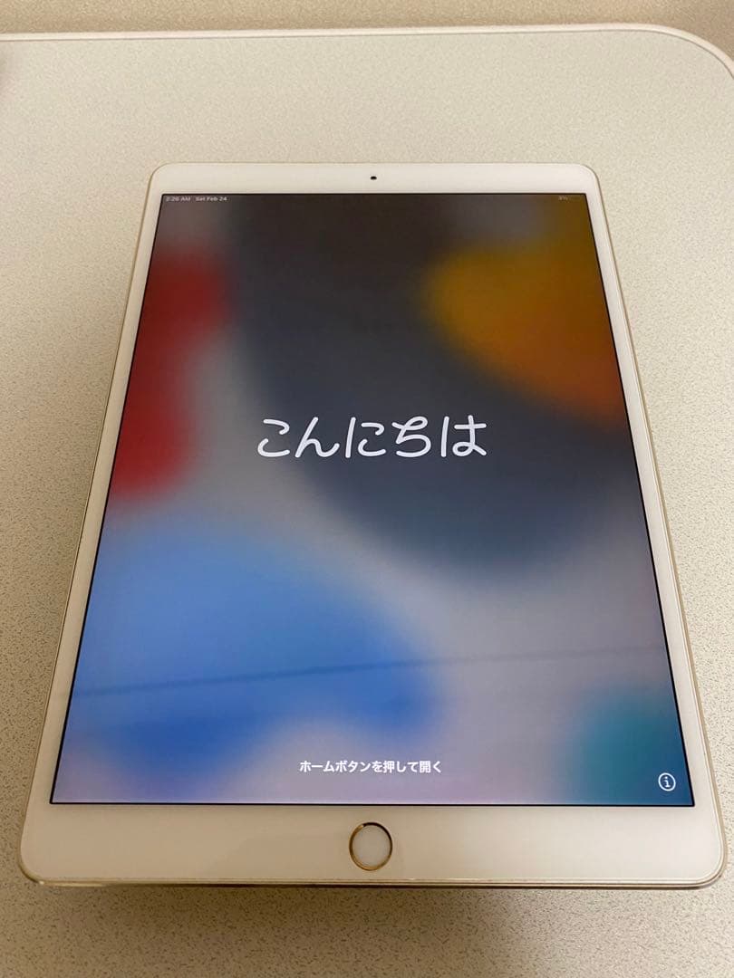 iPad Pro（10.5インチ）256GB + Apple Pencil