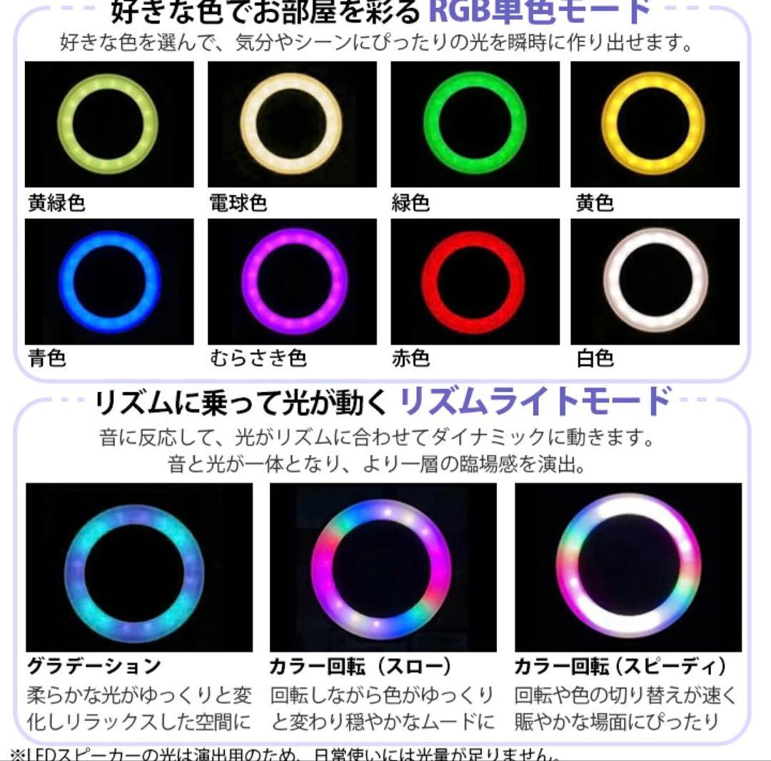 ライティングレール用 Bluetoothスピーカー 2個セット