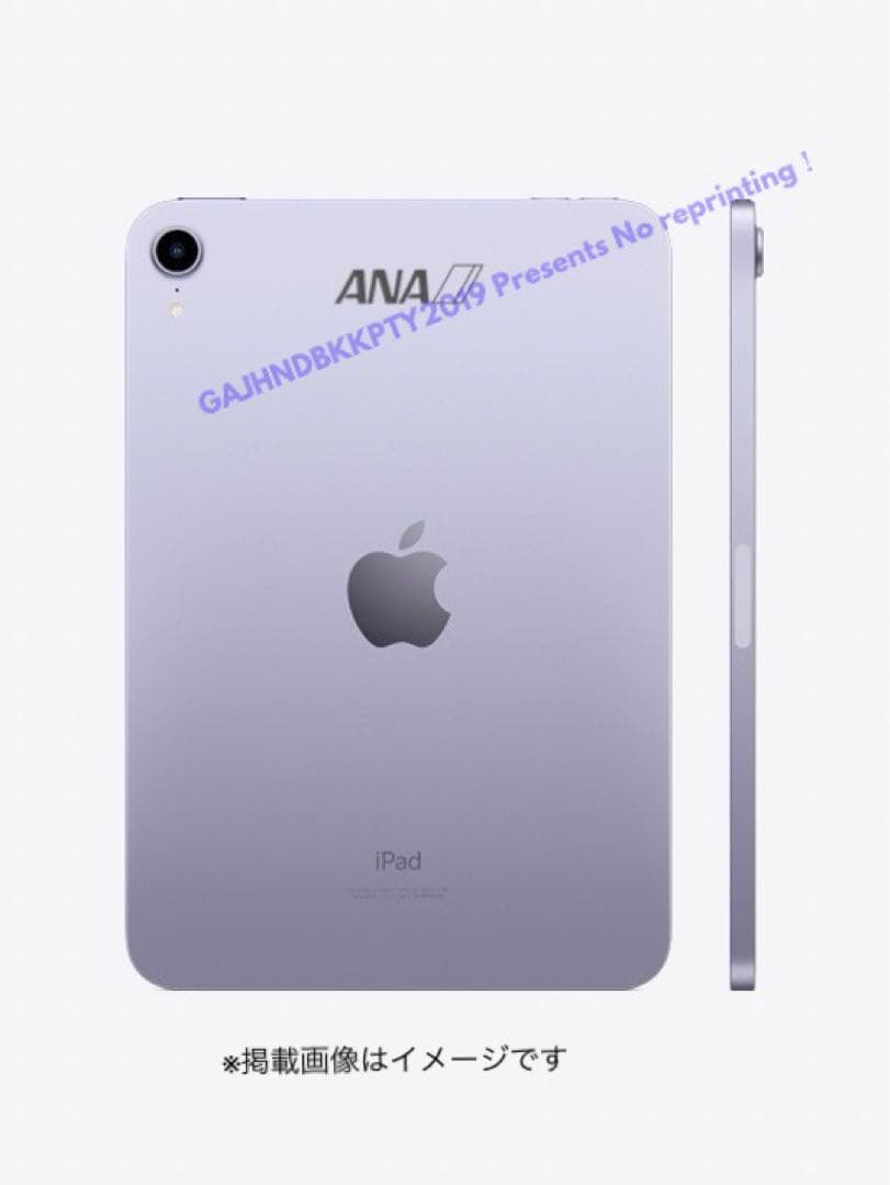 ANAプレミアムメンバー限定 ロゴ刻印 iPad mini Wi-Fi 64GB