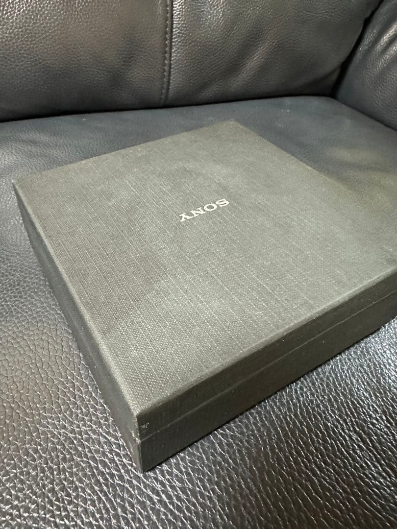 SONY ソニー ウォークマン NW-A605 デジタルオーディオプレーヤー