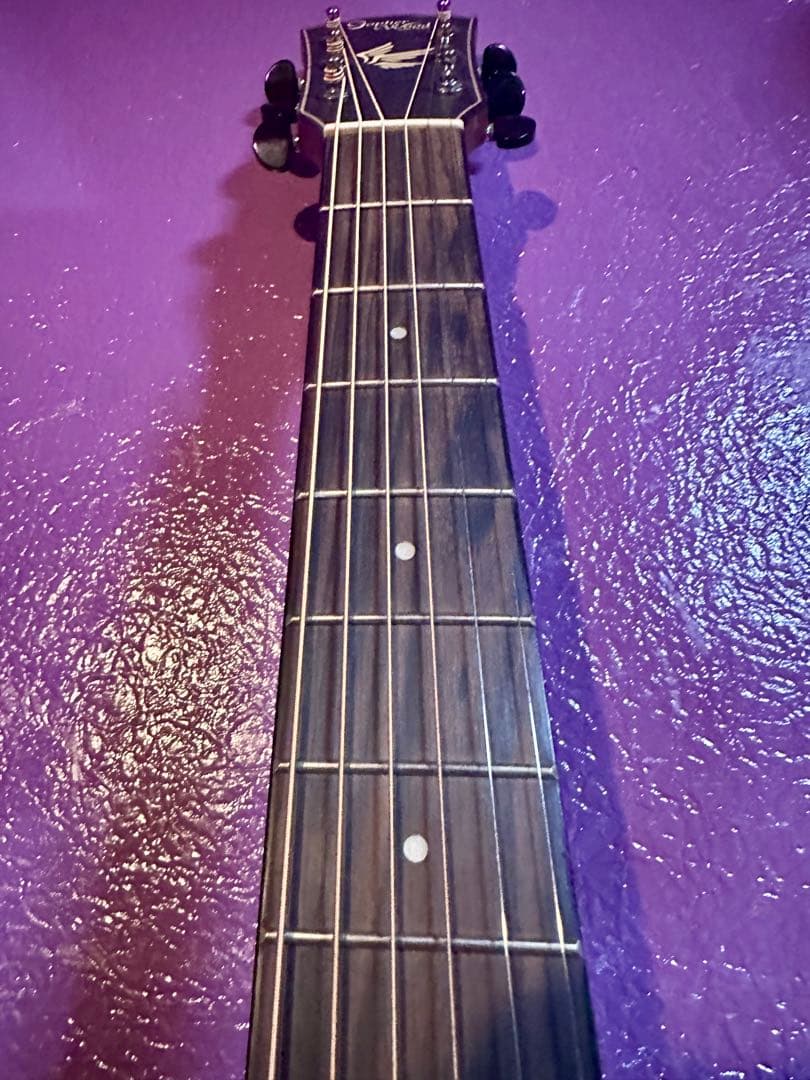 Gopher Wood アコースティックギター