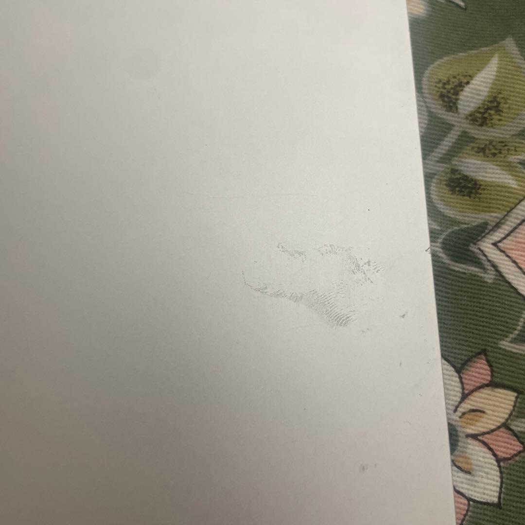 iPad Pro 11インチ 第一世代 64GB WIFI