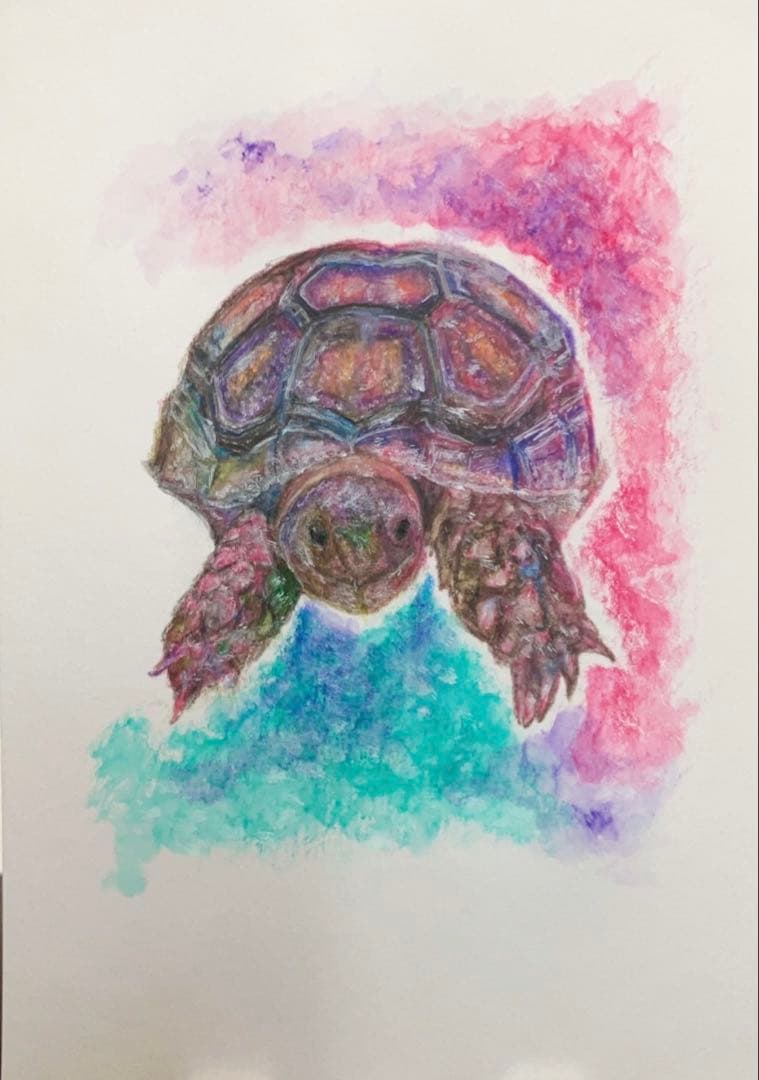 どんぐり　※他の方は購入できません