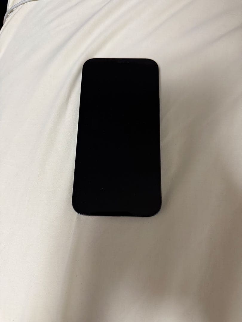 Apple iPhone 12 Pro MAX パシフィックブルー 128GB