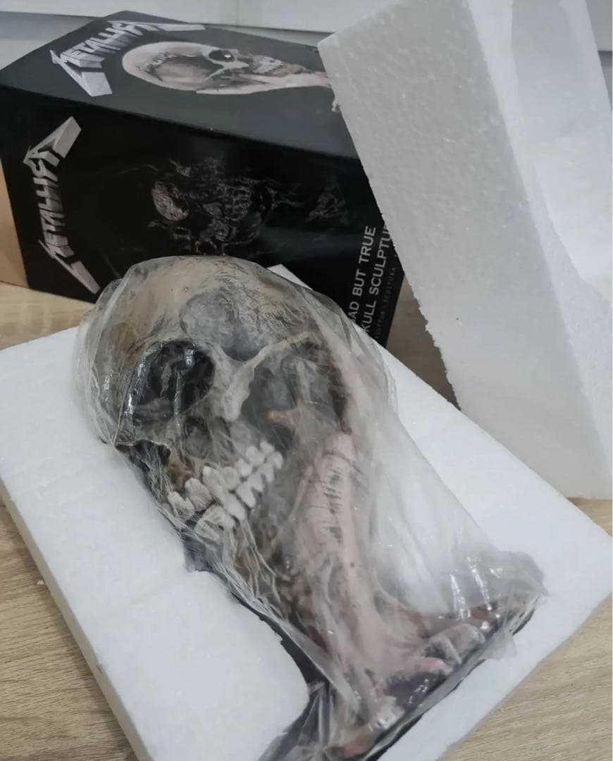 llica スカル彫刻　置物 sad but true